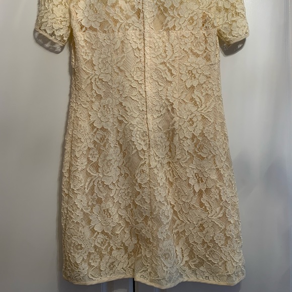 French Connection Ivory Lace Cocktail Dress - Picture 4 of 5